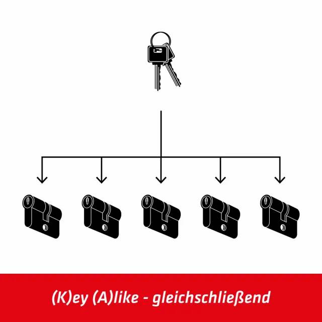 Profil-Doppelzylinder 31/31 mm Feyona^