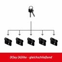 Profil-Doppelzylinder 31/31 mm Feyona^