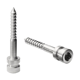 Innensechskantschraube für d line, V4A; 244037^