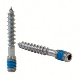 Stockschraube, MOD 0205, A4-70^