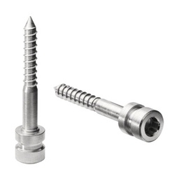 Innensechskantschraube für d line, V4A; 244037^